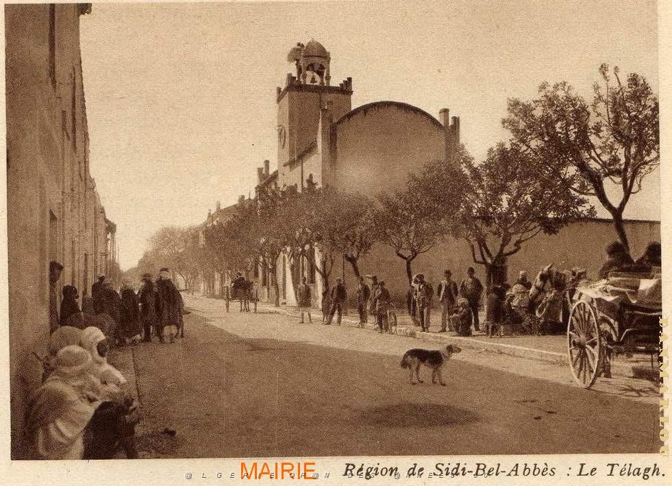 Telagh 14- Mairie- Monneret.jpg